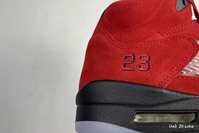 Jordan Reliable “Raging Air 5 Bull” 595 DD0587-600 0922